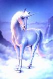 1704 UNICORN tears  